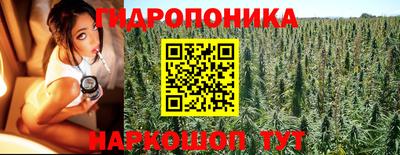 дмт Будённовск