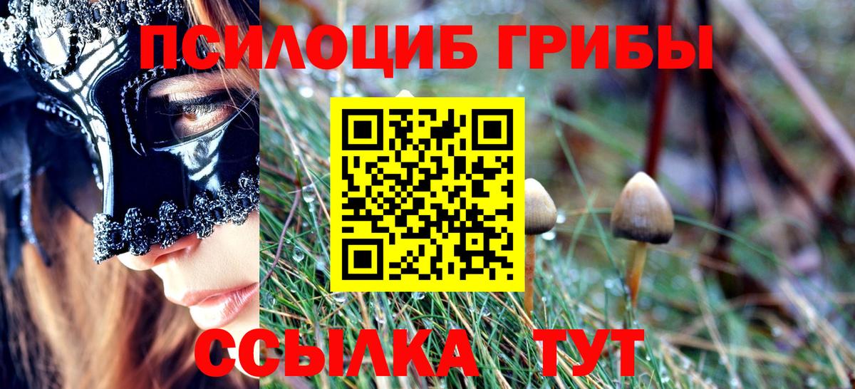 Галлюциногенные грибы прущие грибы Электросталь